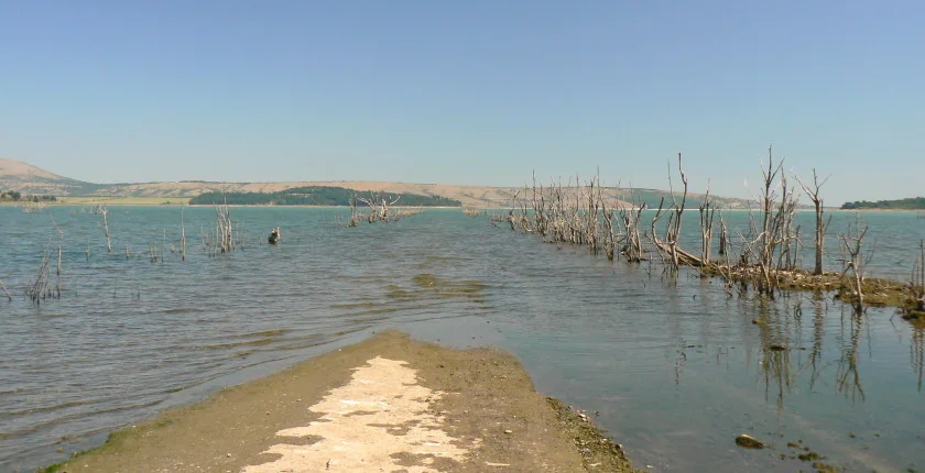 Profine Energy pushes ahead with floating solar power project in Bulgaria